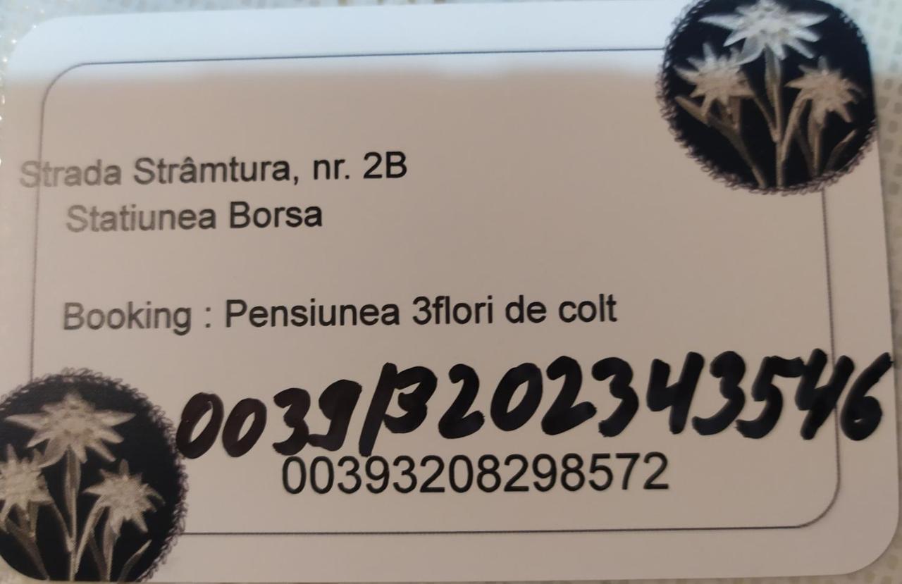 Отель Pensiunea 3Flori De Colt Statjunea Borsa Экстерьер фото