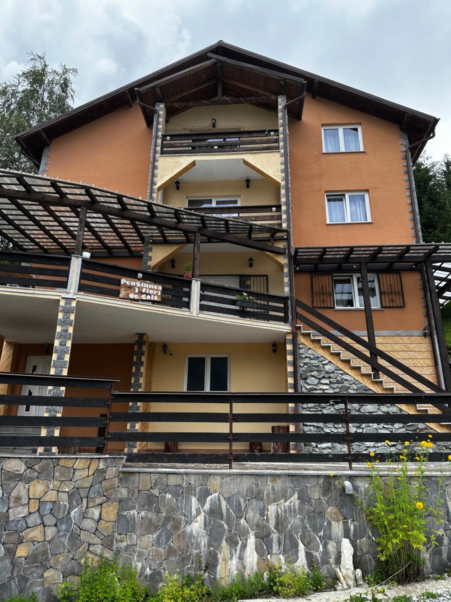 Отель Pensiunea 3Flori De Colt Statjunea Borsa Экстерьер фото